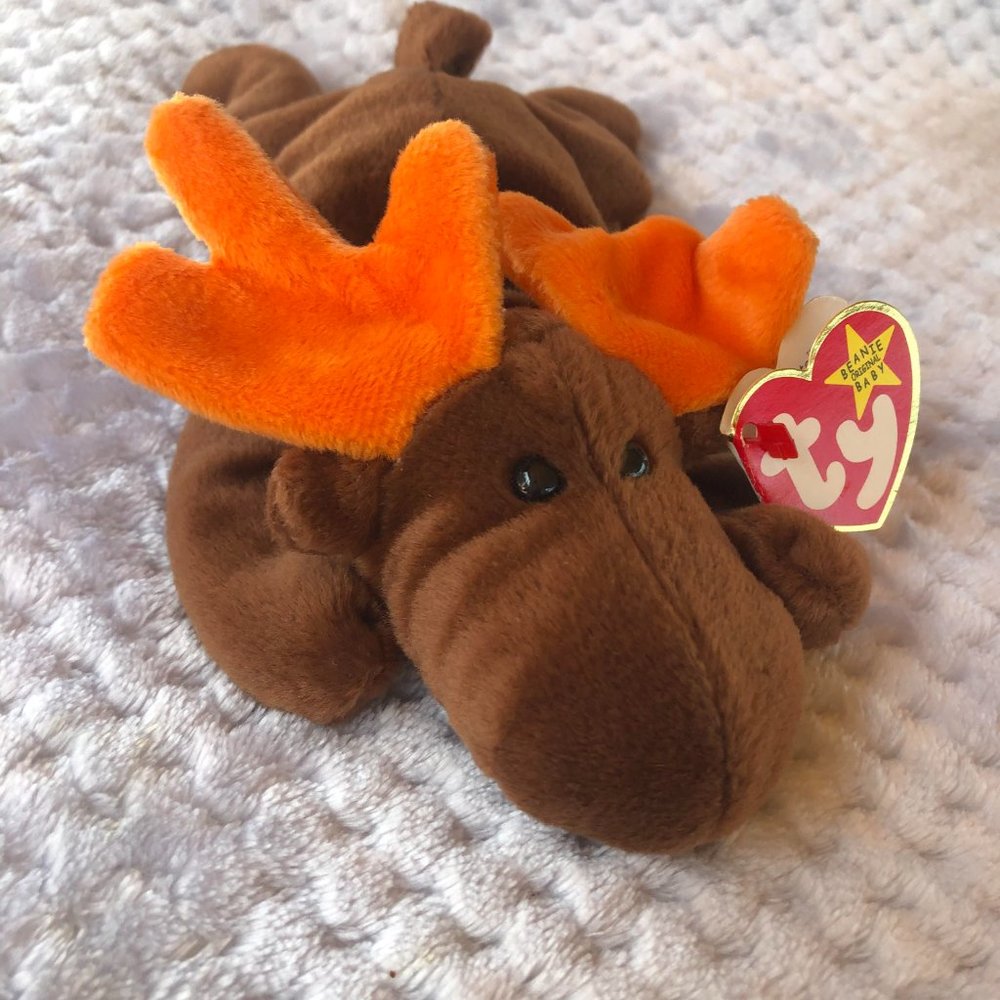TY Beanie Baby Chocolate the Moose - Picture 1 of 10